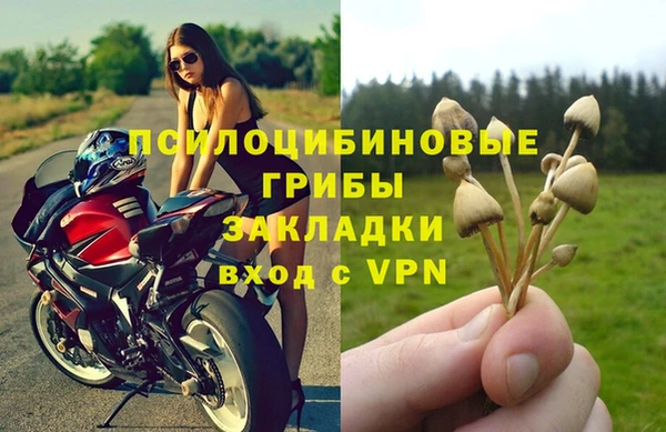 PSILOCYBIN Новозыбков
