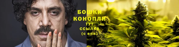 PSILOCYBIN Новозыбков