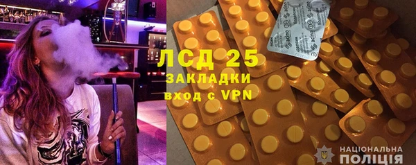 PSILOCYBIN Новозыбков