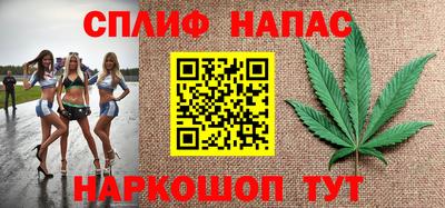 молекула духа Донской