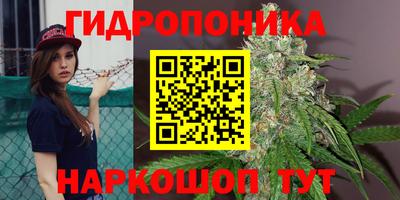 прущая мука Дубна
